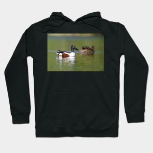 Shoveler Hoodie